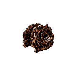 Black Colour - BCVILLA H�rklemme - m�rkebrun leo