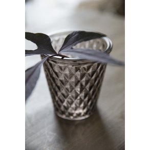 Vase m/tern glas transparent gr