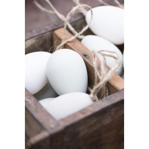 Pskeg medium i ensfarvet ggeskalshvid