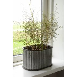 Ib Laursen Zinkbaljer oval m/riller stor